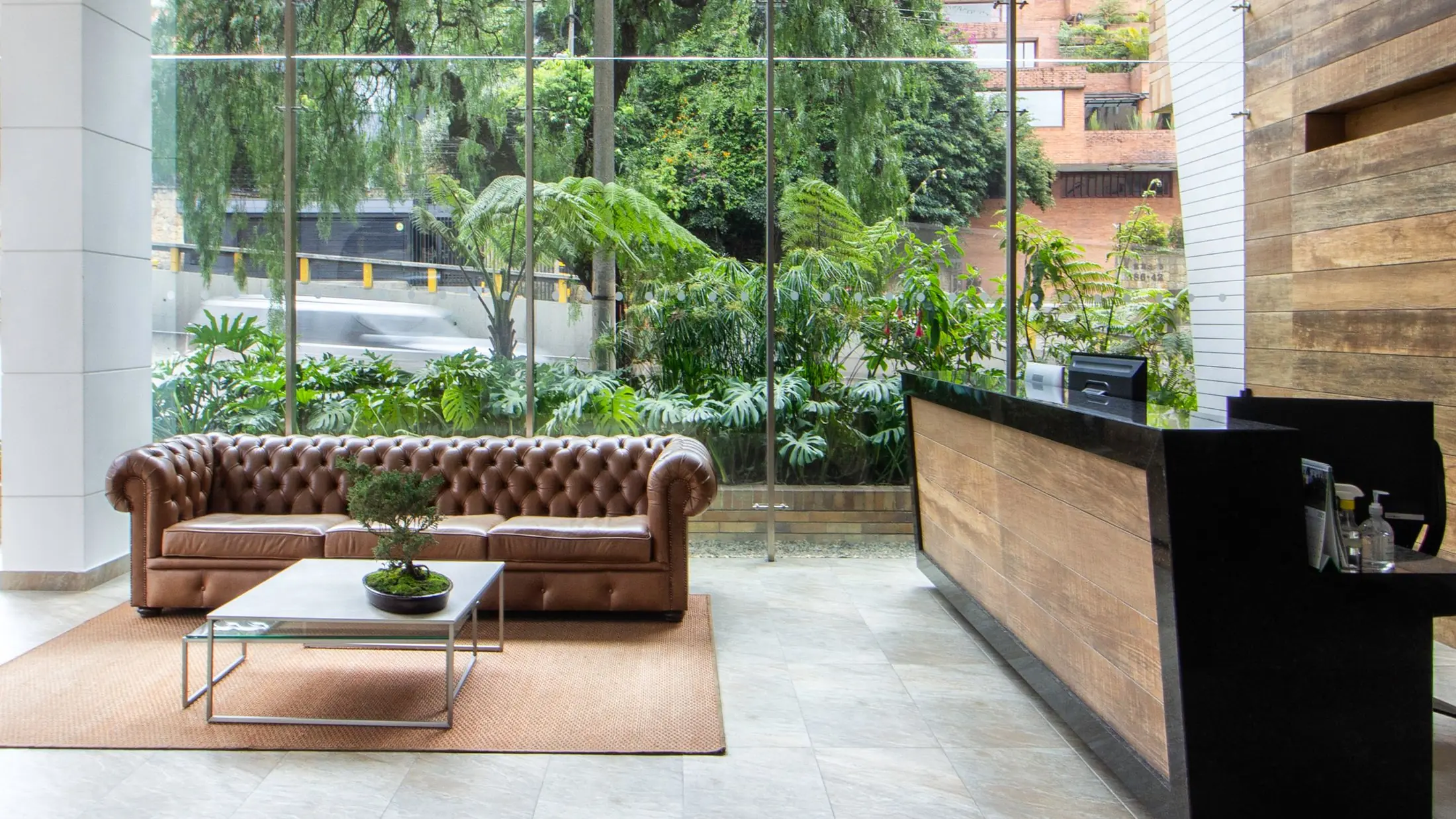 Zona de espera de un despacho, con un sofá de piel y vegetación tras el ventanal